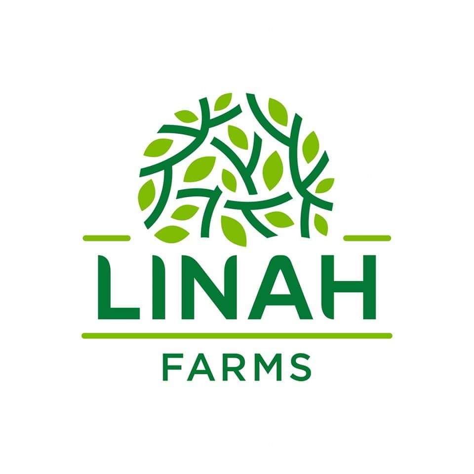Medjool Apple Walnut Oatmeal – Linah Farms