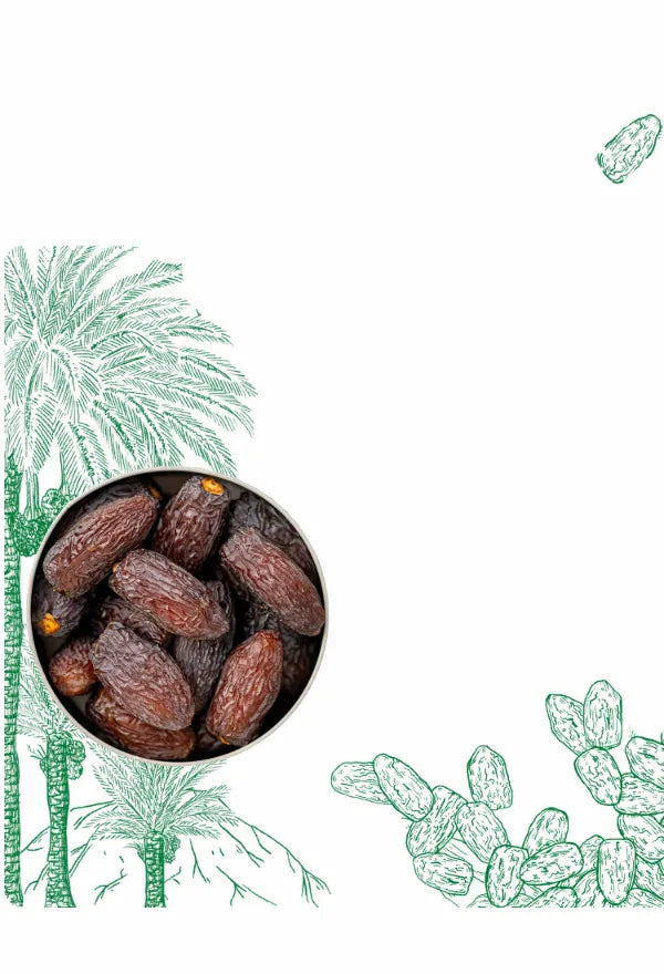 A bowl of Medjool Dates with a decorative background featuring artistic sketches of palm trees and Medjool dates.