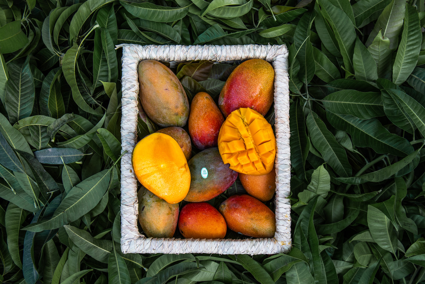 Mangoes (Cairo & Giza Delivery Only)